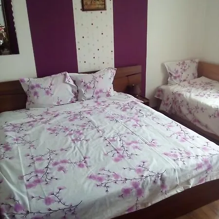 Teodora House Pavel Banja
